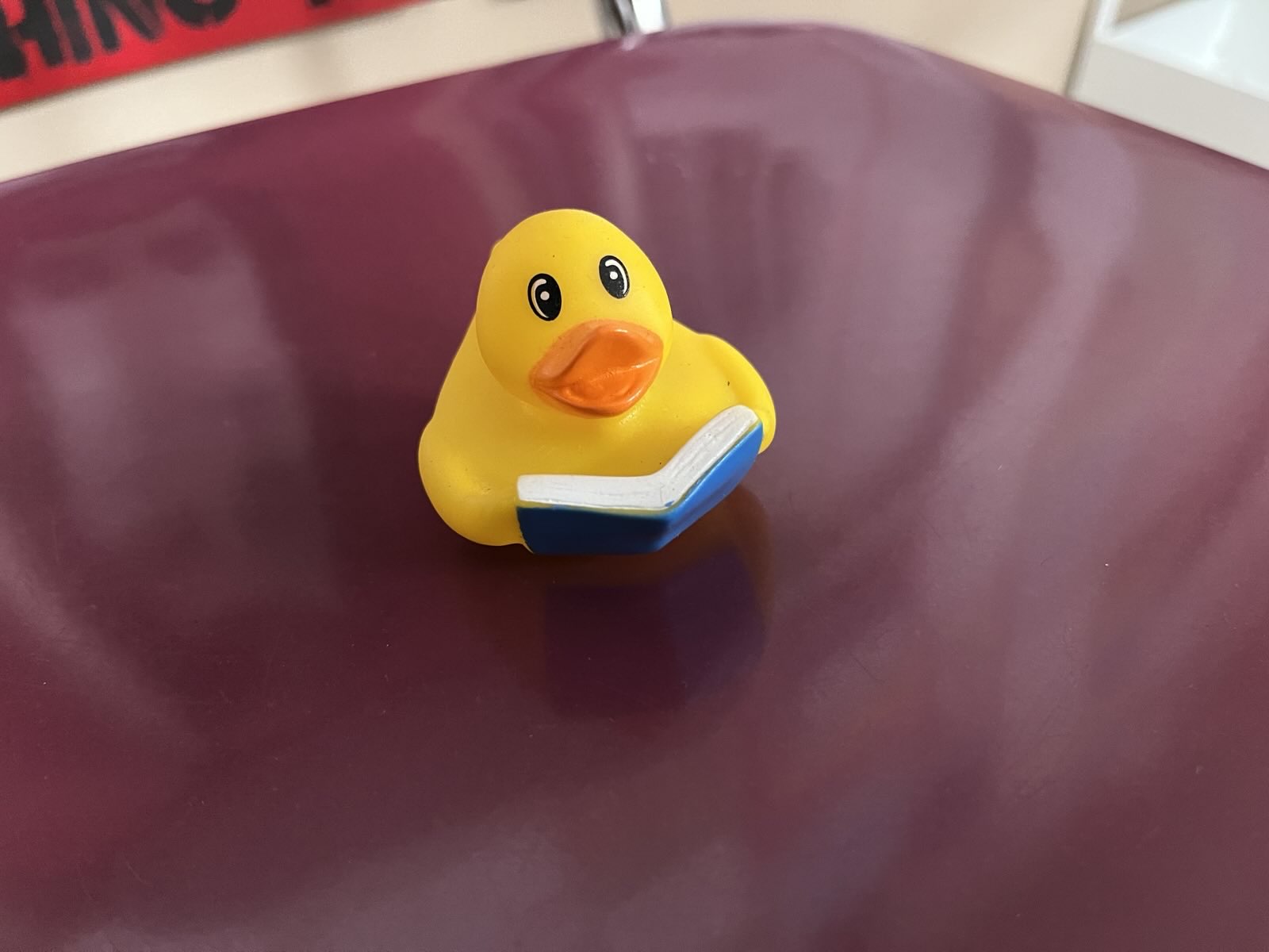 rubber duck reading